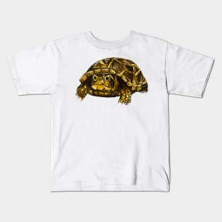 Ornate Box Turtle Kids T-Shirt